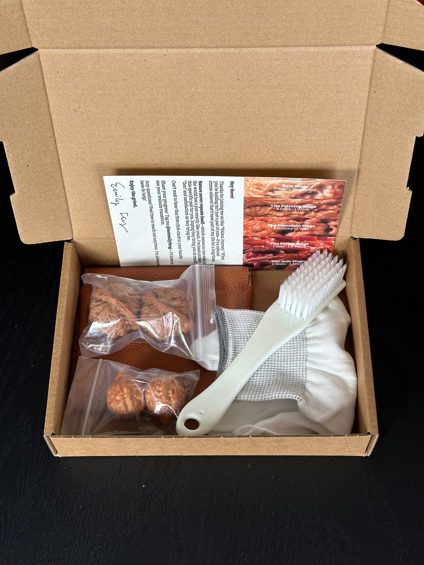 Wenwan Walnut Starter Kit